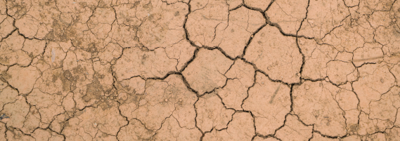 Module XII Session I: Banks & Climate-related Risk Management CRRMSEC1